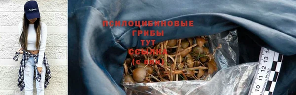 твердый Горняк