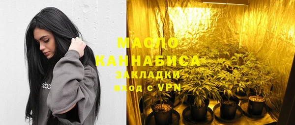 твердый Горняк