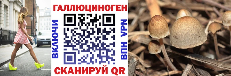 где найти   Дно  мега зеркало  Галлюциногенные грибы Cubensis 